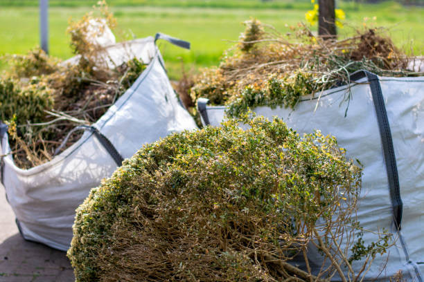 Junk Removal for Events in Aiea, HI